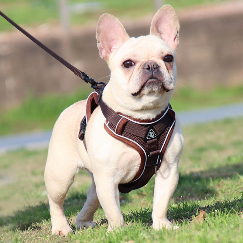 Pet Reflective Dog Harness